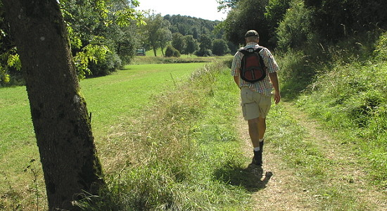  Panoramio - Georg May